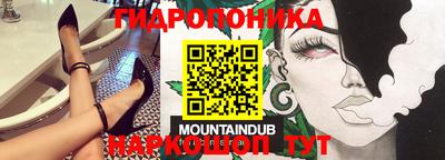 спиды Новозыбков