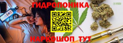 спиды Новозыбков
