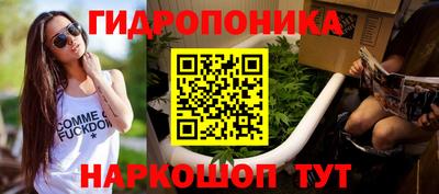 спиды Новозыбков