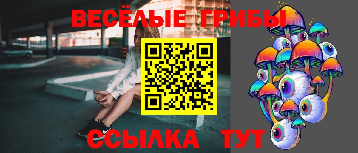 Галлюциногенные грибы MAGIC MUSHROOMS  Вход с VPN  Фурманов 